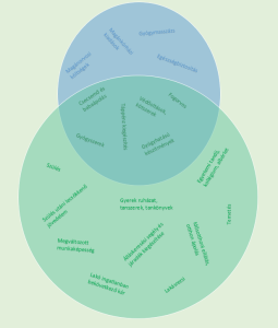 IZYS vs egészségpénztár